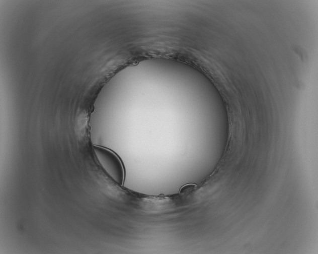 X0000113160480200909181815