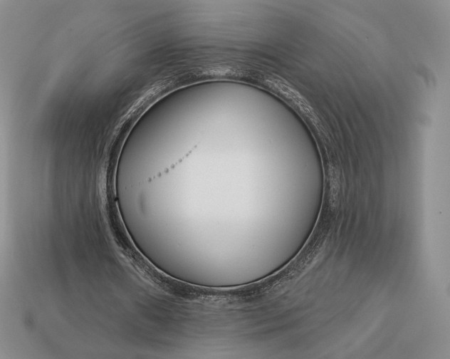 X0000113160482200909181814