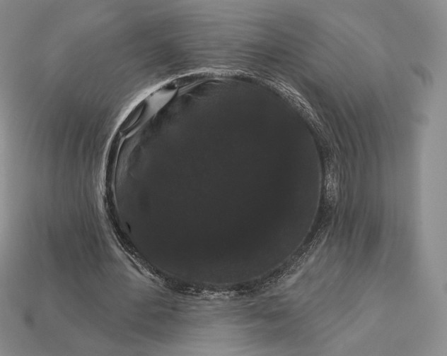 X0000113160484200909181814