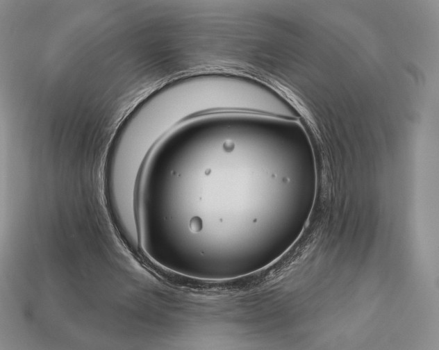 X0000113160485200909181814