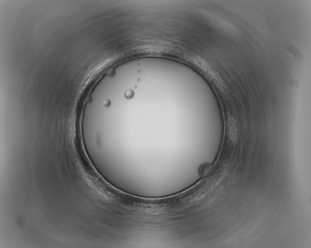 X0000113160486200909181814