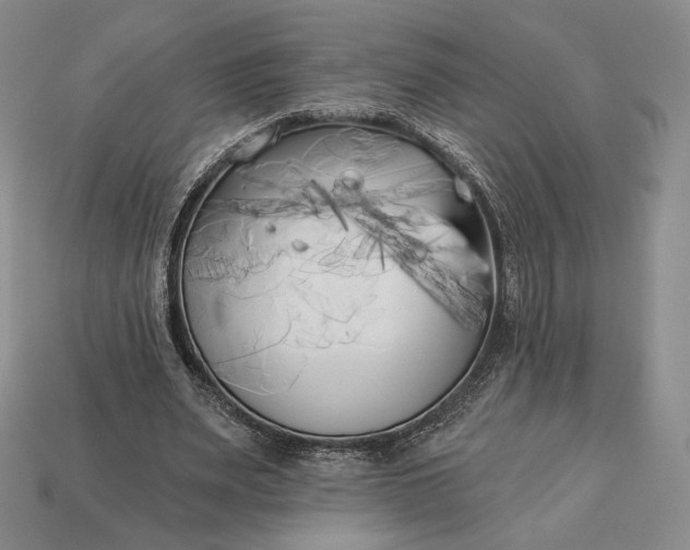 X0000113160487200909181814