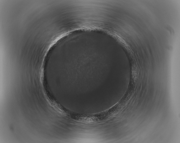 X0000113160488200909181814