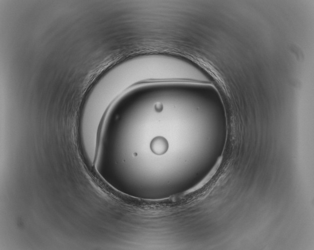 X0000113160489200909181814