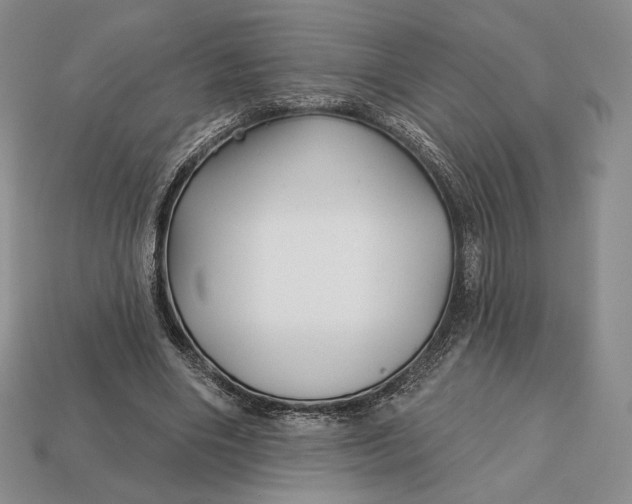 X0000113160490200909181814