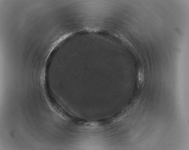 X0000113160492200909181814