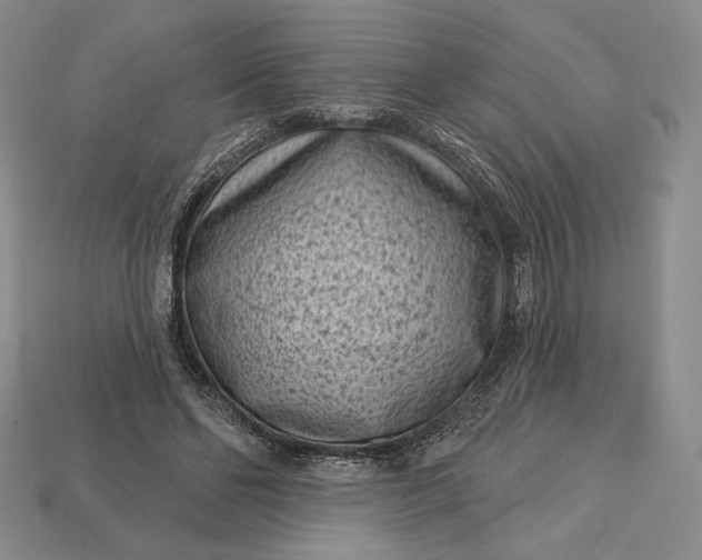 X0000113160494200909181814