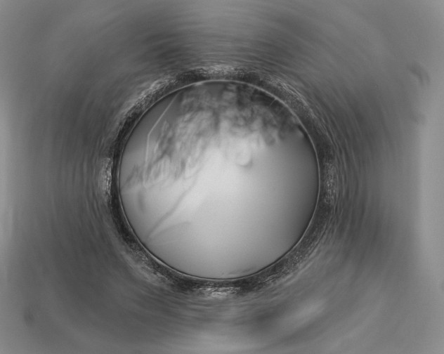 X0000113160495200909181814