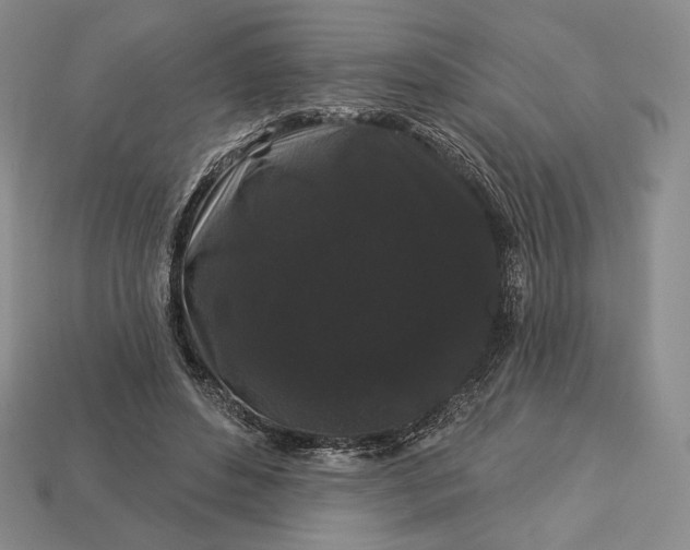 X0000113160496200909181814