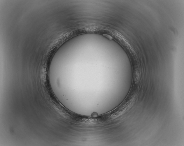 X0000113160497200909181814