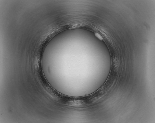 X0000113160499200909181814