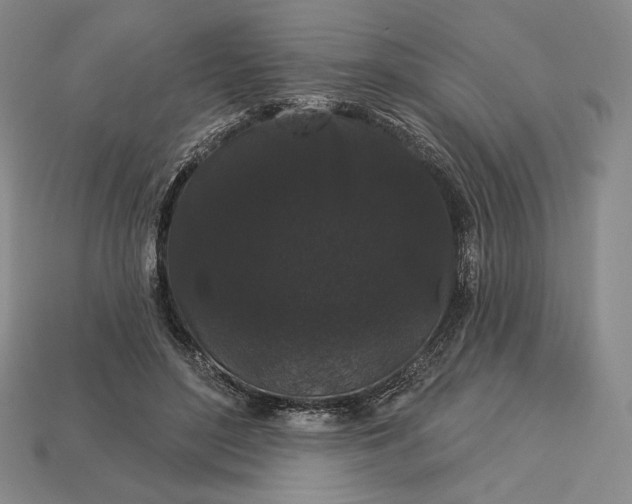 X0000113160500200909181814