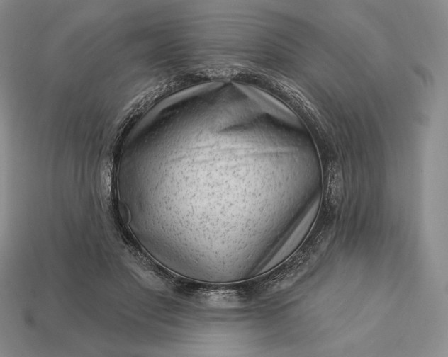 X0000113160501200909181814