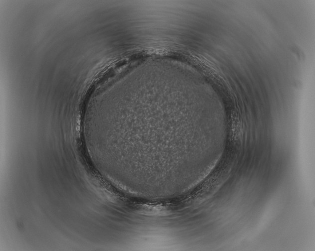 X0000113160502200909181814