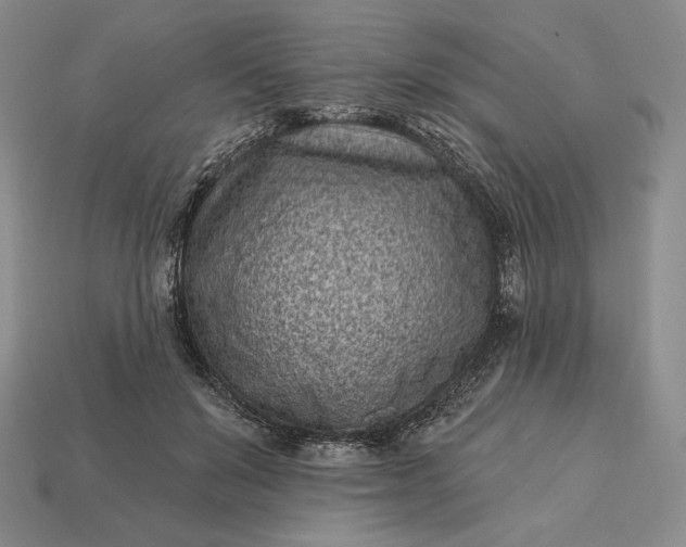 X0000113160503200909181814