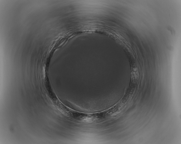 X0000113160504200909181814