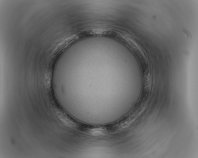 X0000113160505200909181814