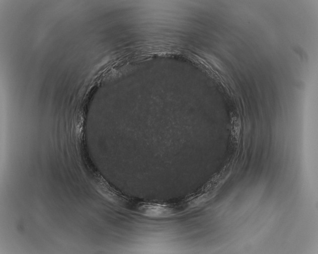 X0000113160507200909181814