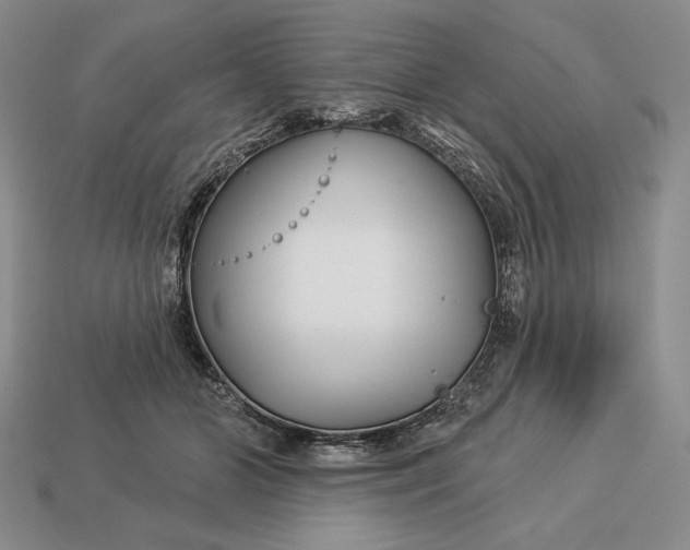 X0000113160510200909181814