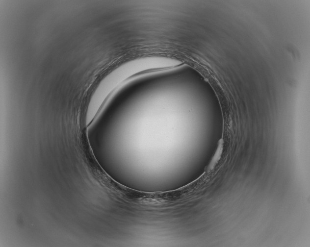 X0000113160512200909181814