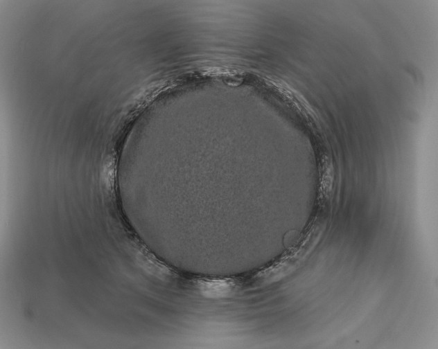 X0000113160513200909181814