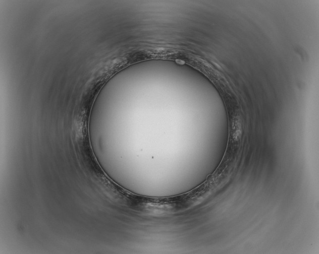 X0000113160515200909181814