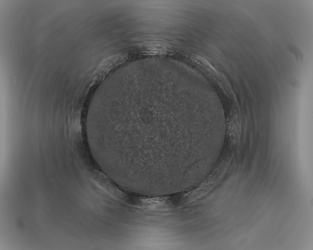 X0000113160516200909181814