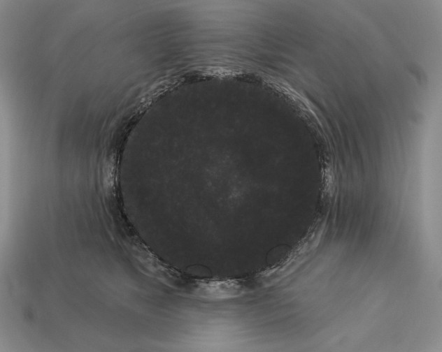 X0000113160517200909181814