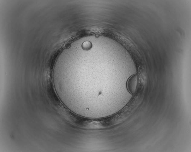 X0000113160518200909181814