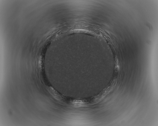 X0000113160519200909181814