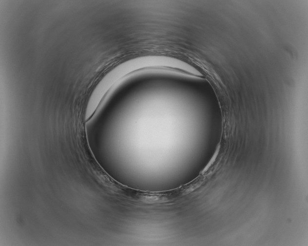 X0000113160521200909181814