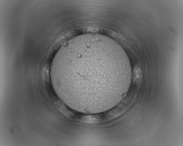 X0000113160522200909181814