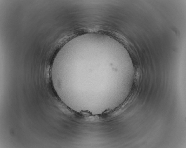 X0000113160525200909181814