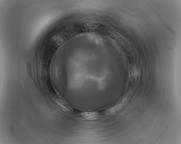 X0000113160526200909181814