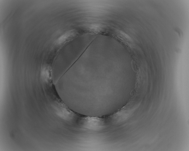 X0000113160528200909181814