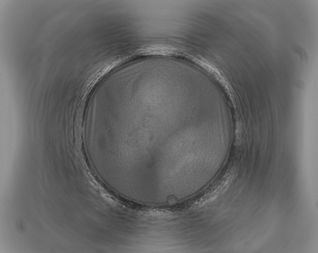 X0000113160529200909181813