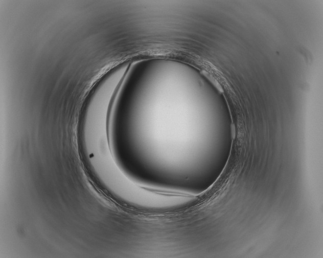 X0000113160530200909181813