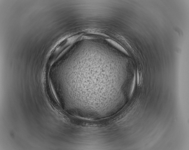 X0000113160531200909181813