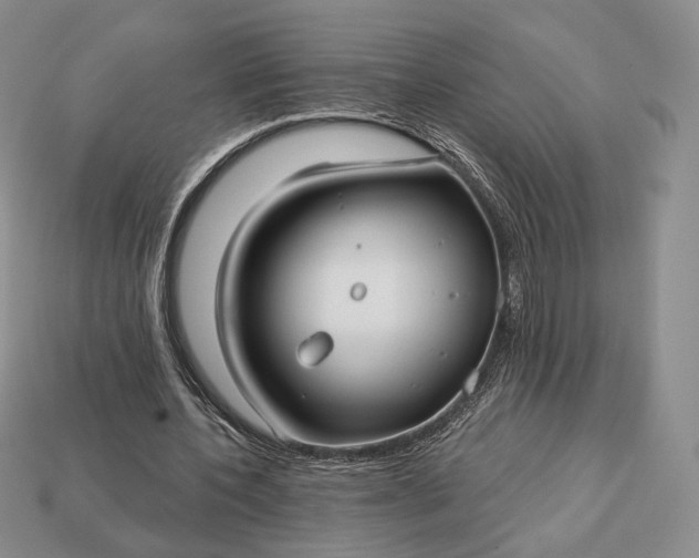 X0000113160532200909181813