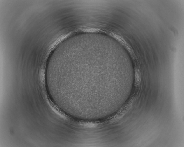 X0000113160533200909181813