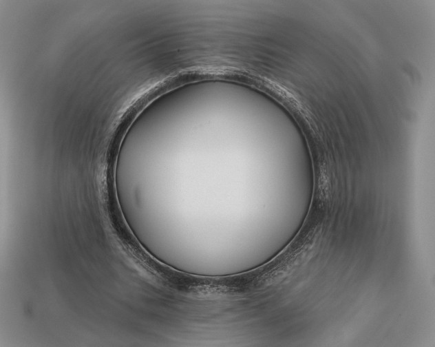 X0000113160535200909181813