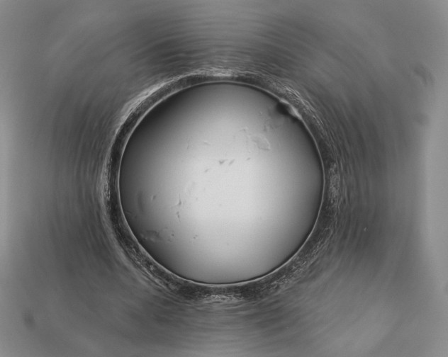 X0000113160536200909181813