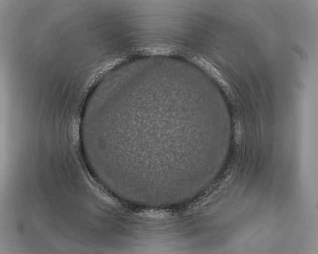 X0000113160537200909181813