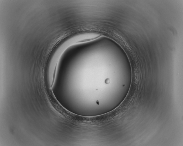 X0000113160538200909181813