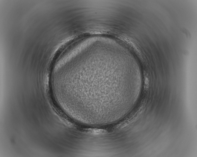 X0000113160539200909181813