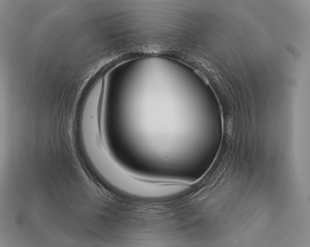 X0000113160540200909181813