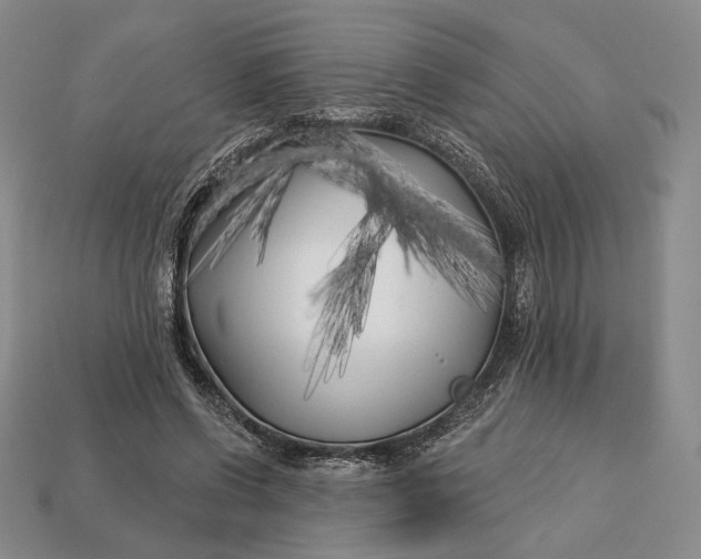 X0000113160542200909181813