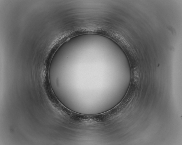 X0000113160544200909181813