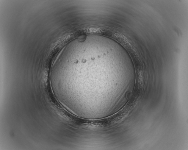 X0000113160545200909181813