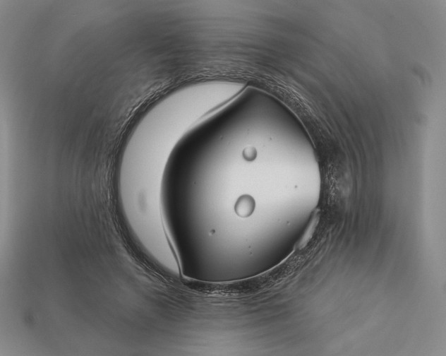 X0000113160546200909181813